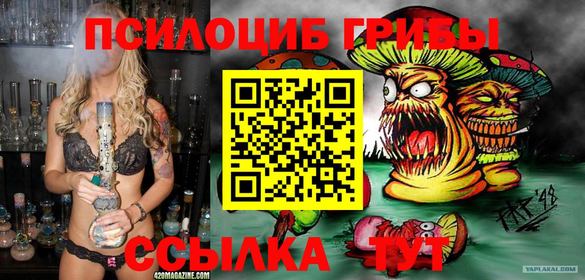 Псилоцибиновые грибы Psilocybine cubensis Чехов