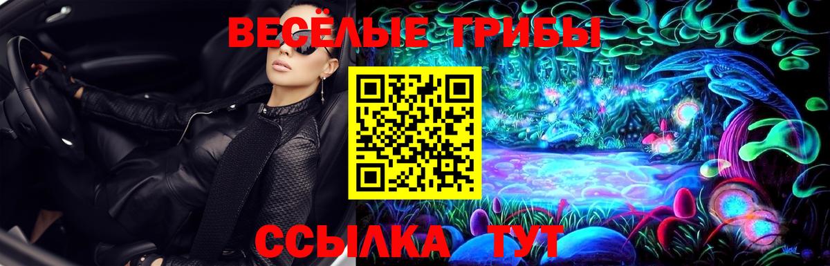 Чехов  Псилоцибиновые грибы GOLDEN TEACHER  Вход с VPN  Псилоцибиновые грибы ЛСД 